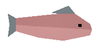 Raw Salmon item from Unturned